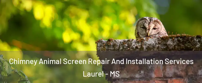 Chimney Animal Screen Repair And Installation Services Laurel - MS