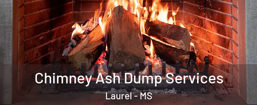 Chimney Ash Dump Services Laurel - MS