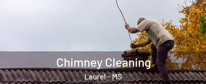  Chimney Cleaning Laurel - MS