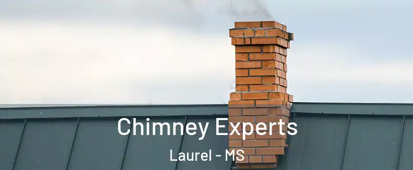  Chimney Experts Laurel - MS