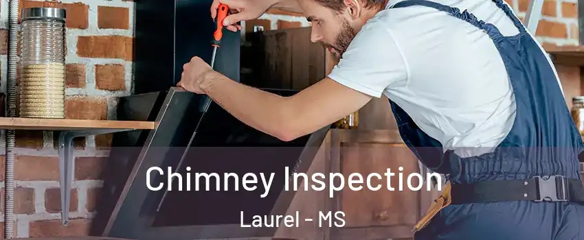  Chimney Inspection Laurel - MS