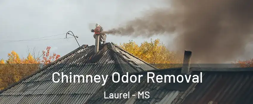  Chimney Odor Removal Laurel - MS