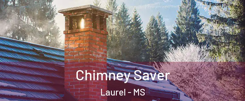  Chimney Saver Laurel - MS
