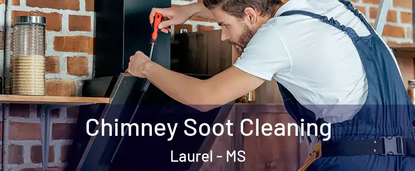  Chimney Soot Cleaning Laurel - MS