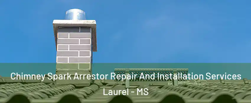  Chimney Spark Arrestor Repair And Installation Services Laurel - MS