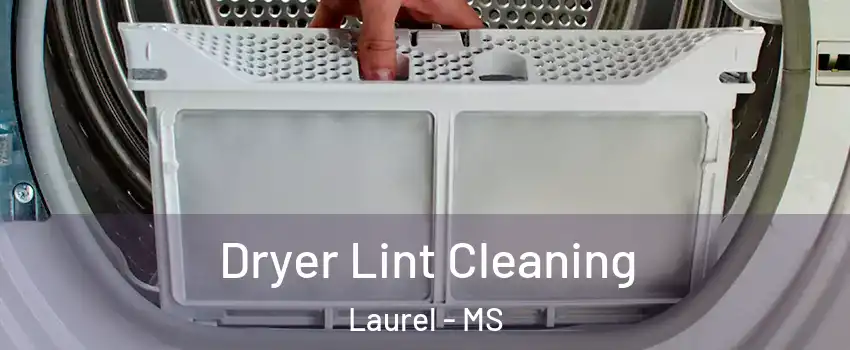  Dryer Lint Cleaning Laurel - MS
