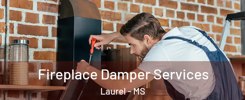  Fireplace Damper Services Laurel - MS