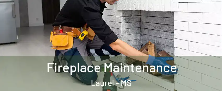  Fireplace Maintenance Laurel - MS