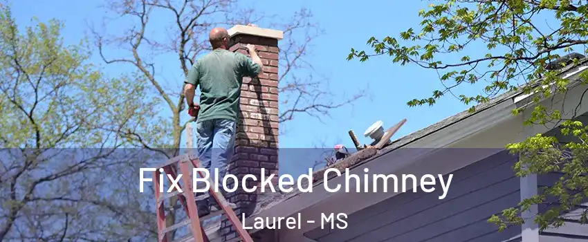 Fix Blocked Chimney Laurel - MS