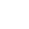 Professional Chimney Flue Installation in Laurel, Mississippi