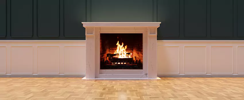 Napoleon Electric Fireplaces Inspection Service in Laurel, Mississippi