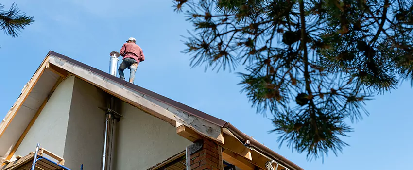 Birds Removal Contractors from Chimney in Laurel, MS