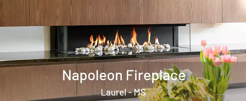  Napoleon Fireplace Laurel - MS